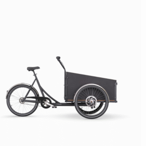 TRICICLO DE TRANSPORTE