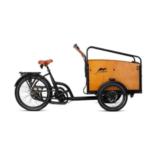 Triciclo Cangoo Buckle Up