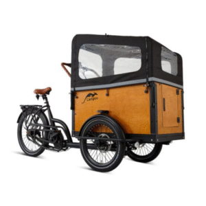 Triciclo Cangoo Buckle Up