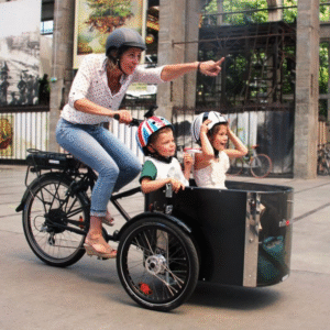 Triciclo Nihola Cargo Pro X