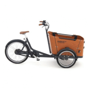 Triciclo Babboe Go Mountain