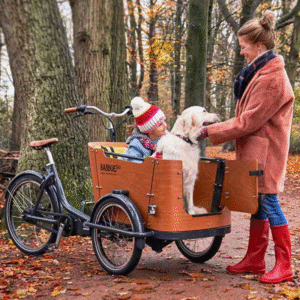 Triciclo Babboe Go Mountain