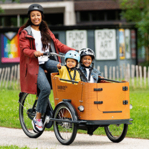 Triciclo Babboe Go Mountain